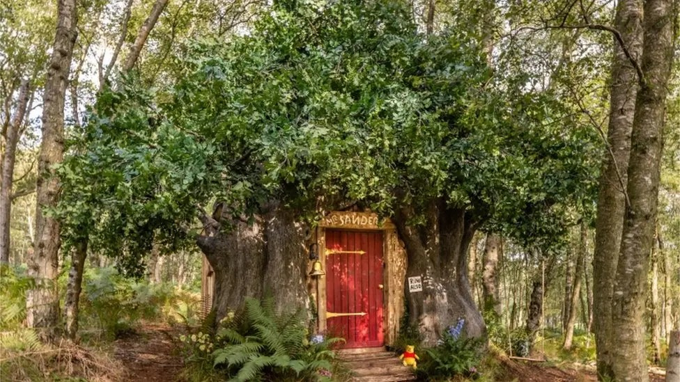 A B&B in a wood built to look like Winnie the Pooh's house. 