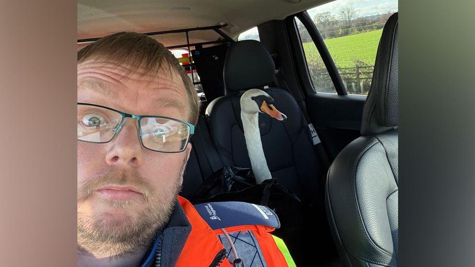 A selfie of Adrian Woods in high-vis traffic officer uniform poses in a car with a swan that has been strapped into a bag so it can be taken to safety.