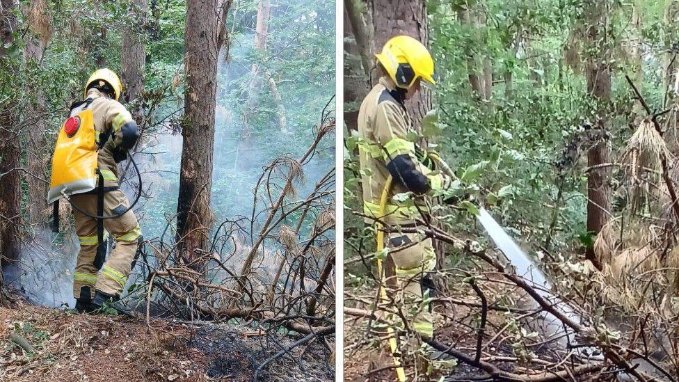 Firefighters tackle a fire in the open with hose reels. They are wearing yellow helmets and firefighting kit and the ground in woodland, where they are damping down, is black and charred.