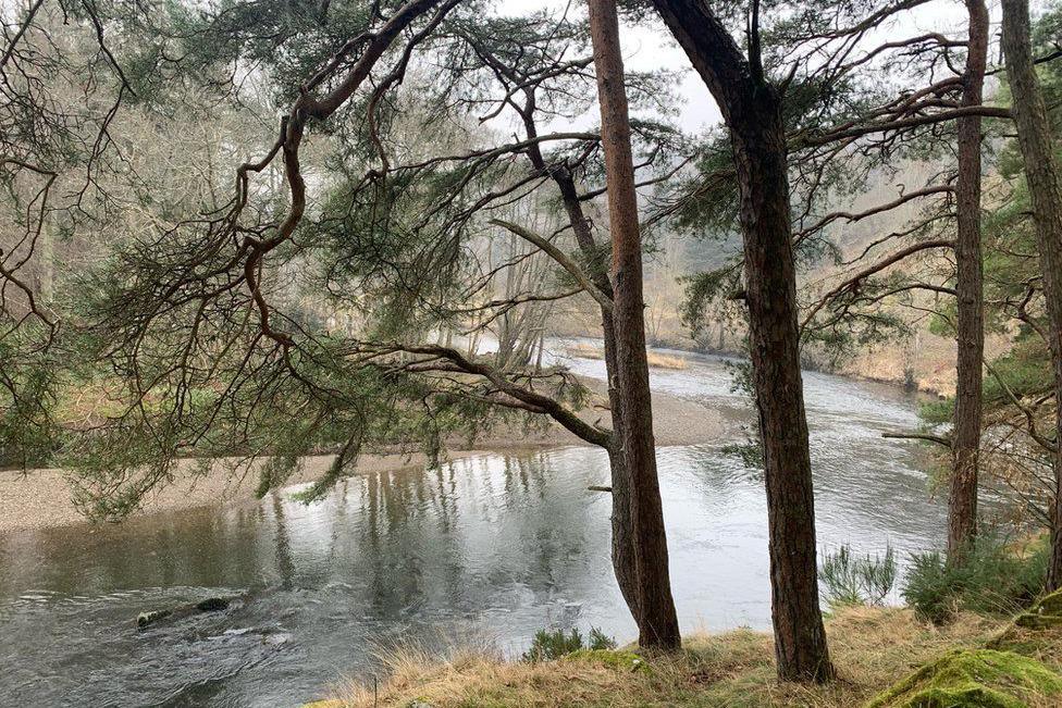 Tree branches overhanging a river. The river has a bend in it and you can see the shale bank on the other side.