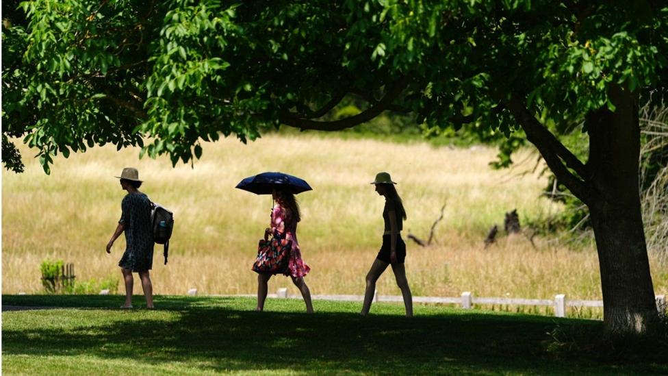 New heatwave likely to peak at 34C with week-long health alert issued