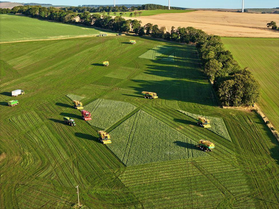 Agricultural vehicles cut patterns in a field while making their harvest - all of them viewed from above.