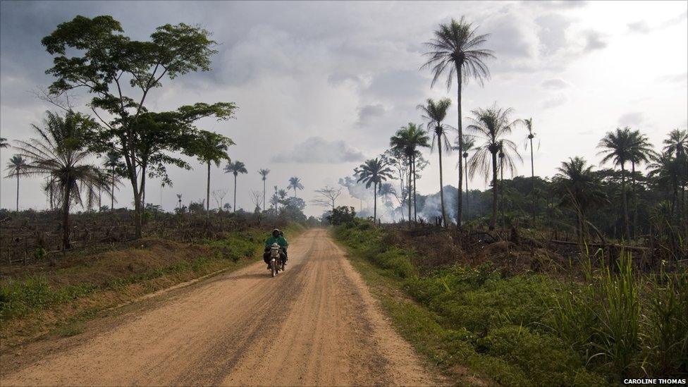 A motorcycle passes fields being burnt in preparation for cultivation, Kailahun