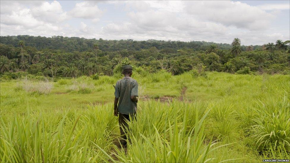 The path between the villages of Sengema and Jemgbellu