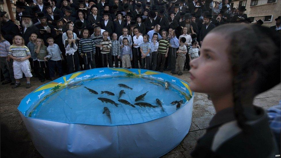 Ultra-Orthodox Jews pray in front of a plastic pool filled with water and live fish in the ultra-Orthodox Israeli city of Bnei Brak, near Tel Aviv, on 16 September 2010, as they perform the Tashlich ritual during which they cast their sins into the water, one day before Yom Kippur.