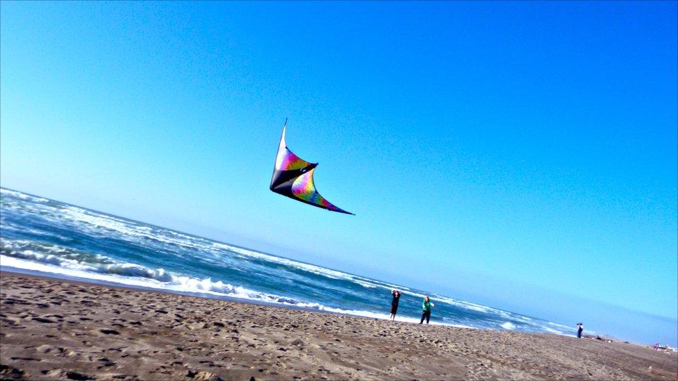People flying a kite on a beach