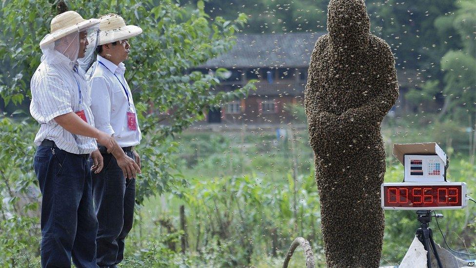 A bee keeper wearing thousands of bees during a bee competition in China