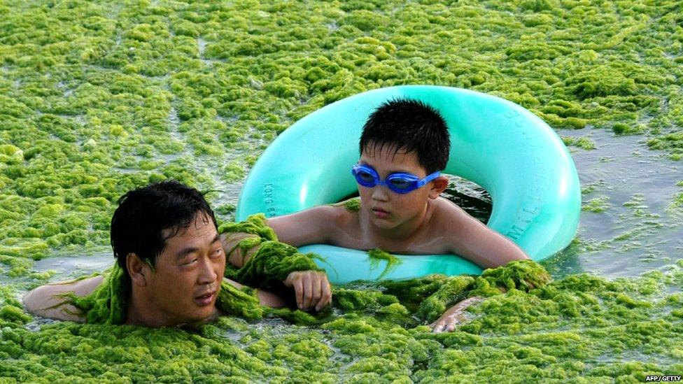 Father and son swimming in algae in eastern China.