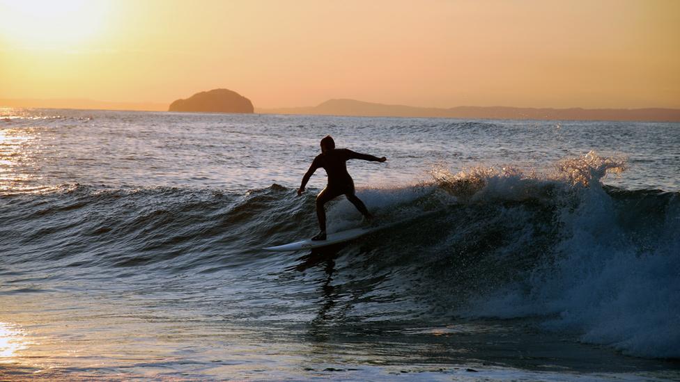 Surfer