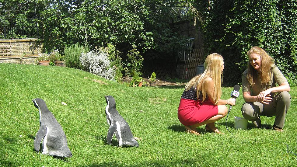 They wandered around during the interview - here they're looking at where the pond used to be!