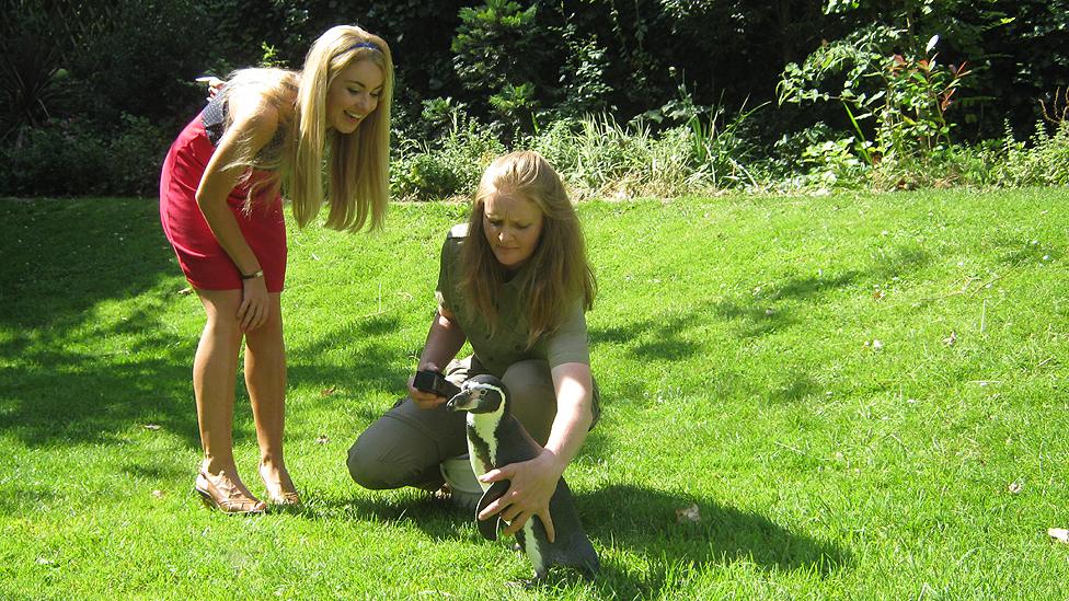 Charlie the the penguin came into Newsround to meet Hayley. He's an animal actor - and was accompanied by his trainer.