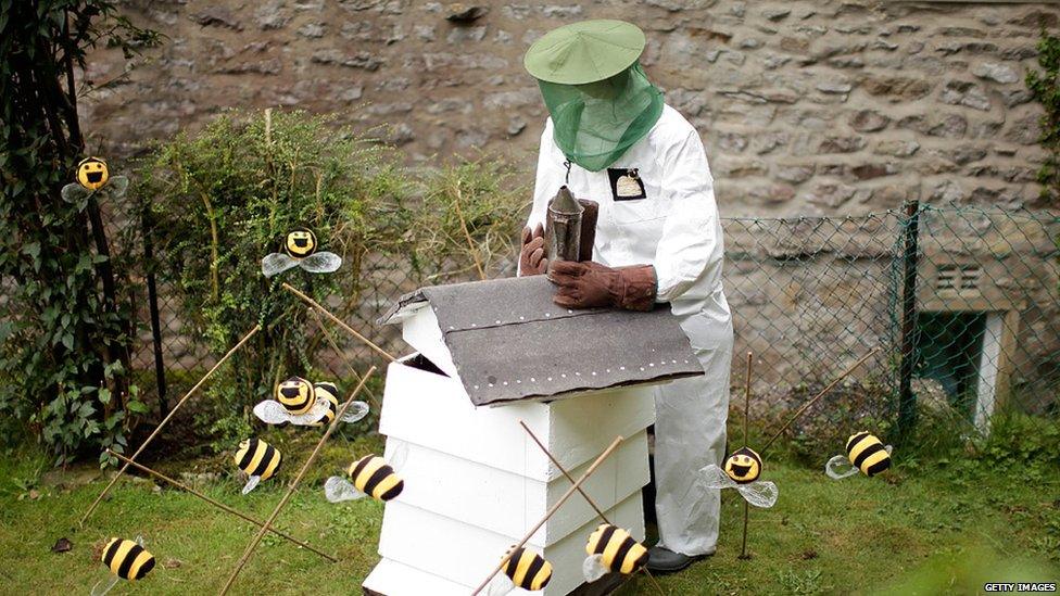 A beekeeping scarecrow at the annual festival in Kettlewell.