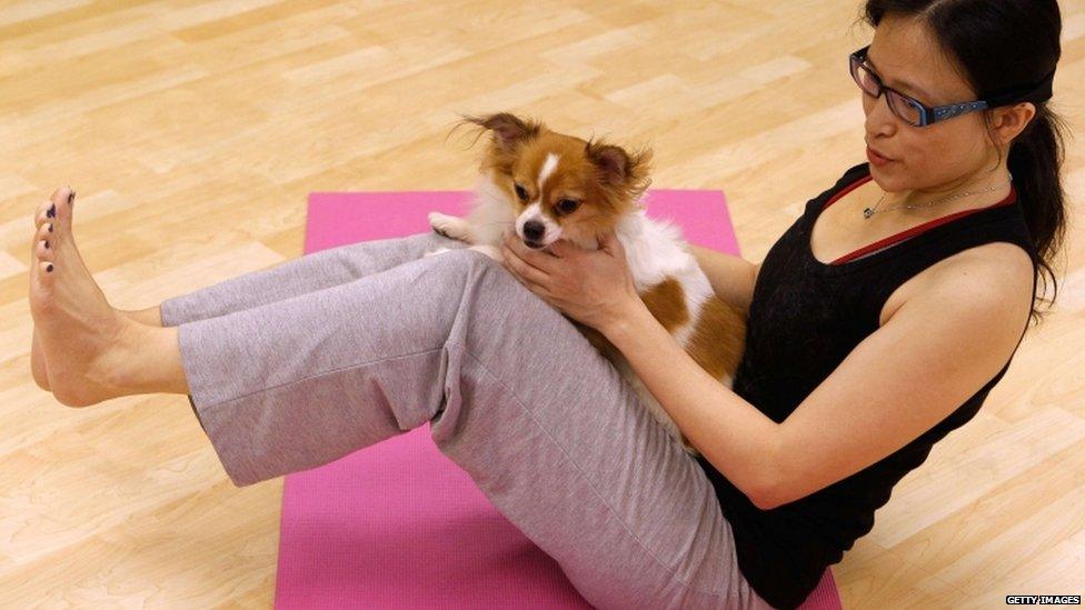 Dog yoga class