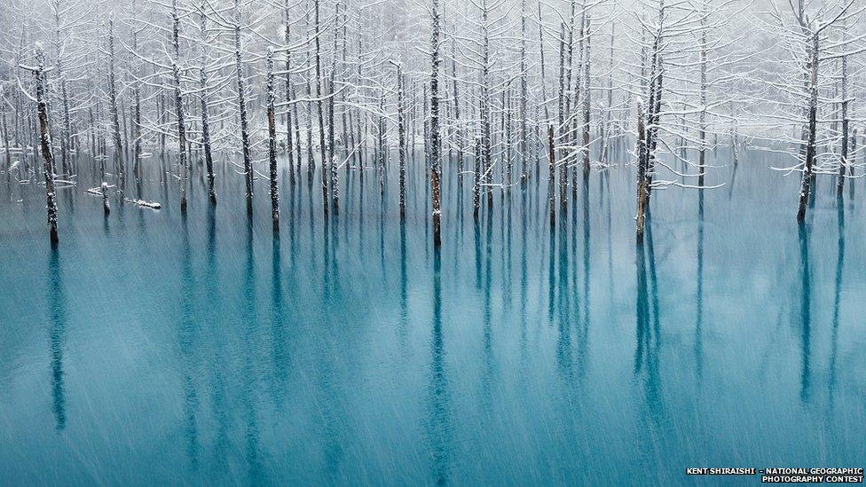 Frozen pond in Japan
