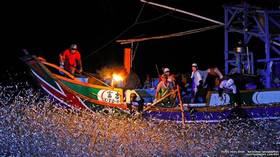 Fishermen catching fish