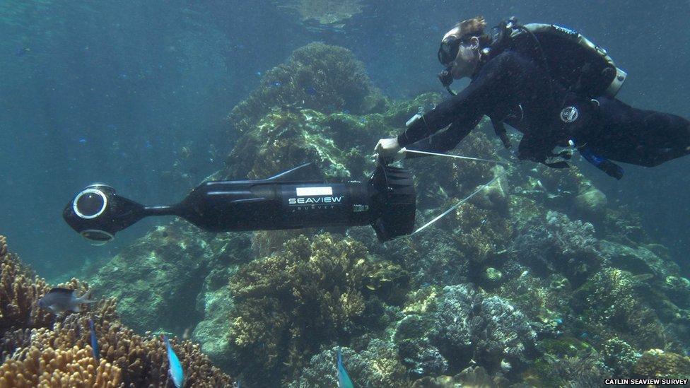 Diver with Seaview camera