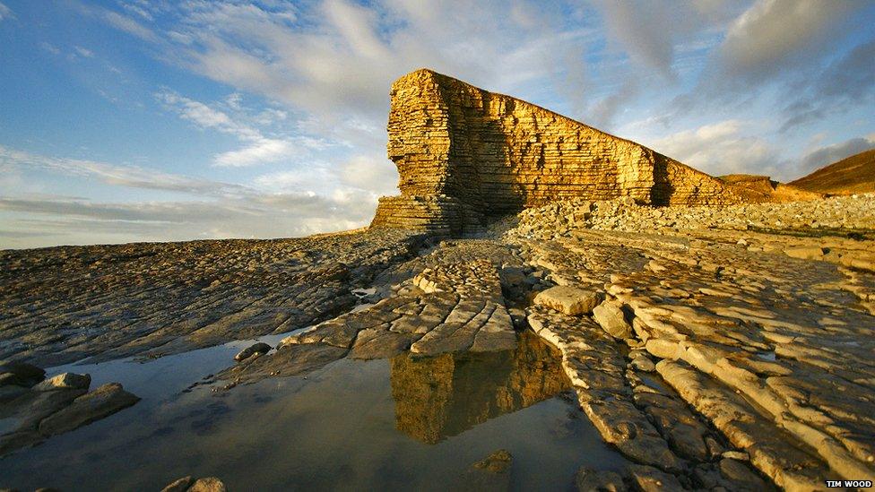 Nash point gan Tim Wood