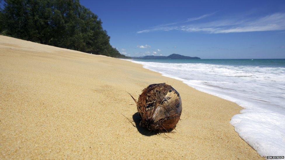Mai Khao beach in Phuket