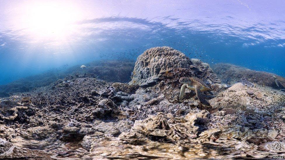 Sea view near Heron Island in the Great Barrier Reef.