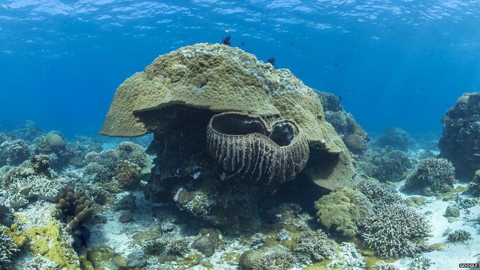 Seabed around the Philippines