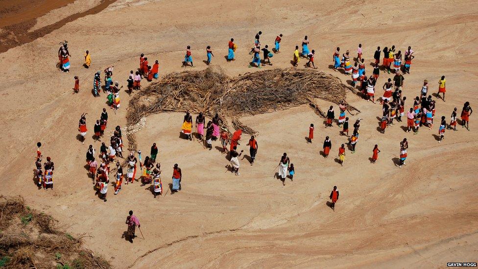Land art of an elephant