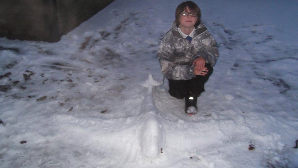 An ice plane sculpture