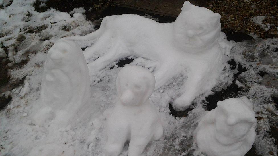 Holly's snow animals