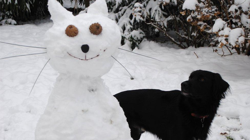 A cat made of snow in a snowy garden. A bewildered dog looks on.