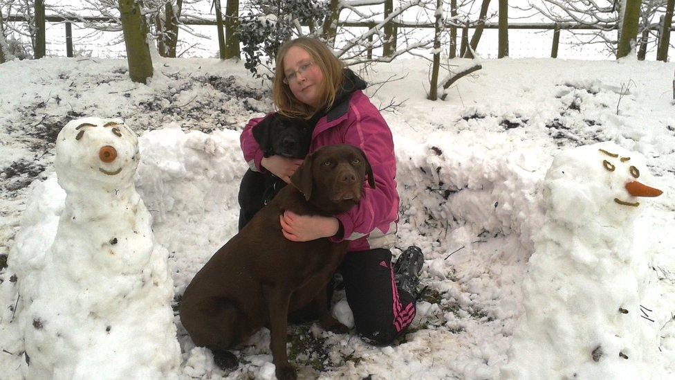 A girl sat next to a wall of snow with two dogs.