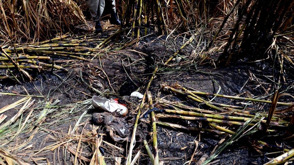 Personal belongings in a sugar cane field after a balloon crash (26/02/13)