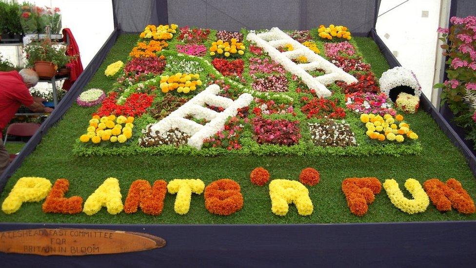 Snakes and Ladders floral display