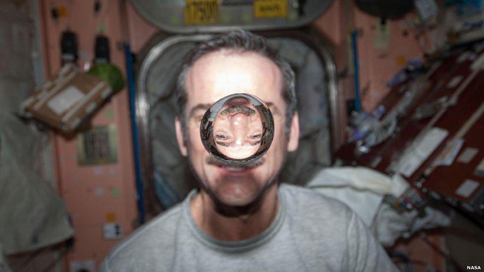 astronaut Chris Hadfield, Expedition 34 flight engineer, watches a water bubble float freely