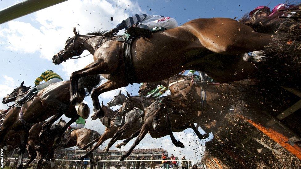 Cheltenham runners in the County Hurdle