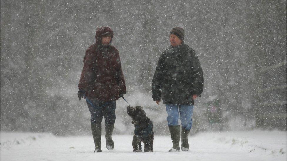 Couple walk their dog in Crawley, West Sussex