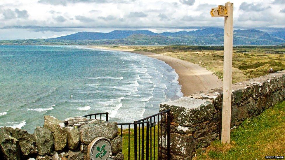 Harlech beach and the mountains of Snowdonia. Photo: Eddie Evans on the BBC Wales Nature Flickr group