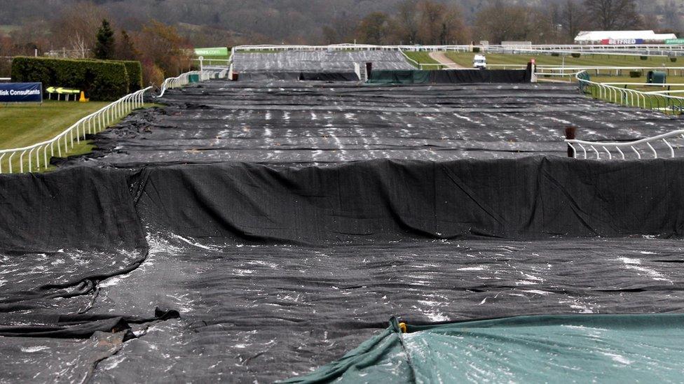 Frost on covers of Cheltenham race course