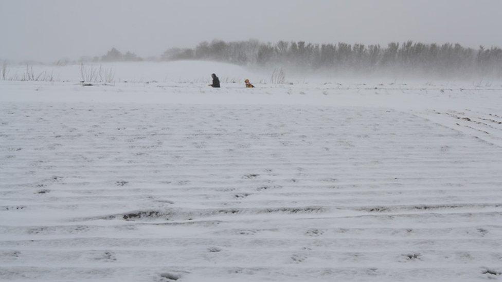 Reader picture of snowy Jersey