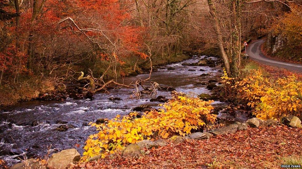 Autumn in Llanbedr beside the river Artro. Photo: Eddie Evans on the BBC Wales Nature Flickr group