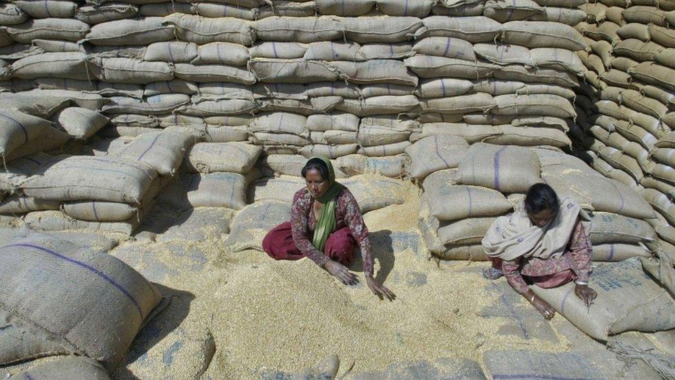 Women labourers collect wheat at a warehouse in Punjab