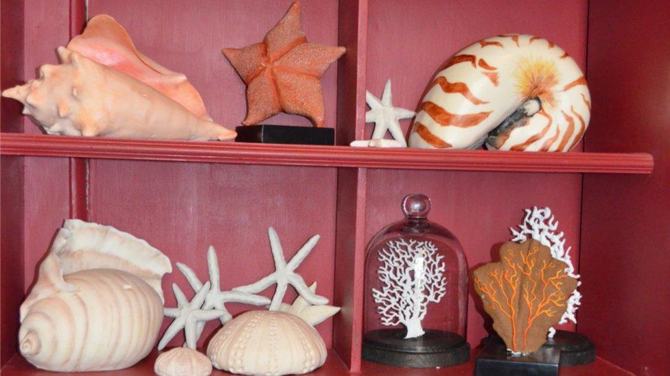 Edible sea shells