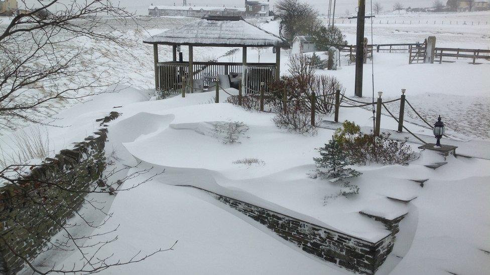 Snow-covered garden. Photo: Alisha Rayson