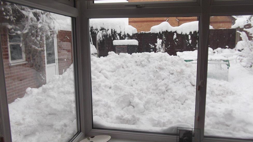 Snow in a back garden in Mold, Flintshire