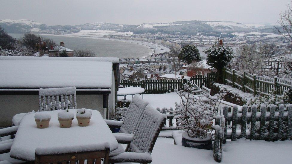 Great Orme, Llandudno. Photo: Chris Bowen