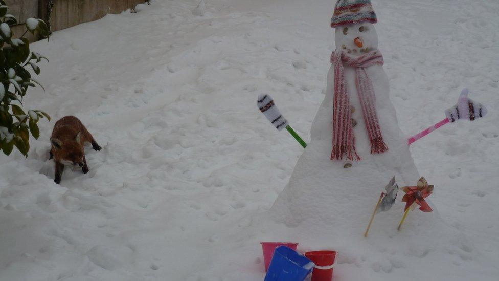 Snowman and fox. Photo: Louise Selman