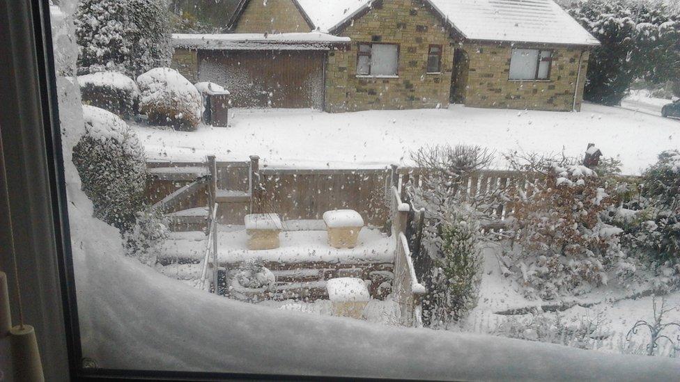 Snowy garden. Photo: Susan Walker