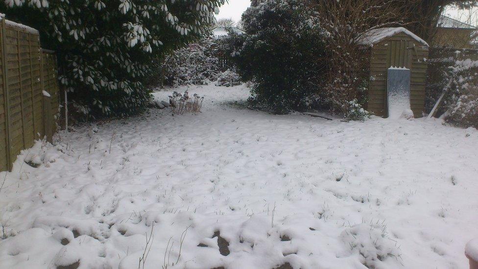 Snowy garden. Photo: Brian Lavington