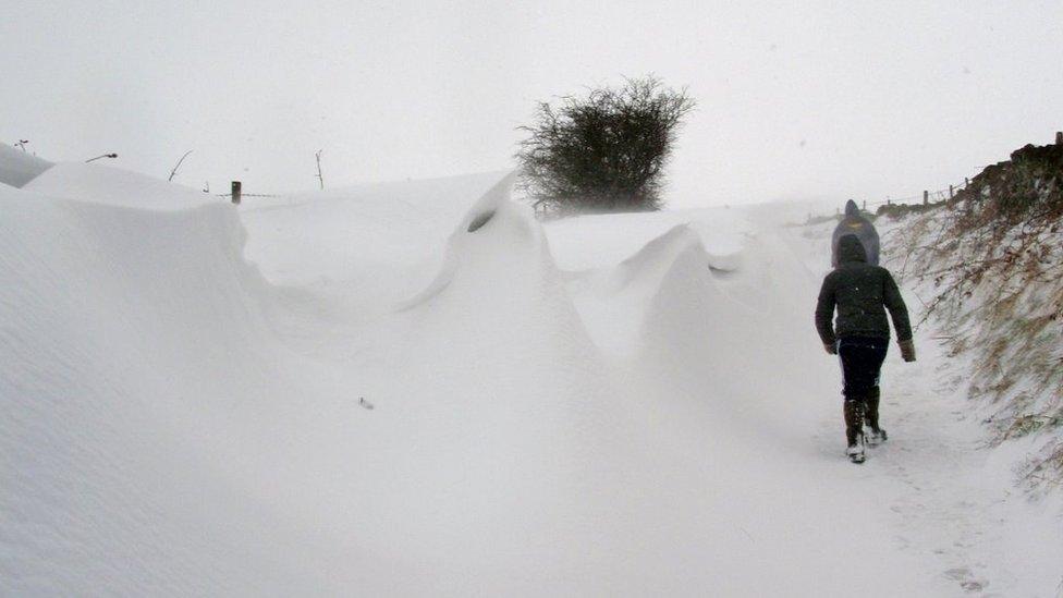 Snow drift. Photo: Laura Boddy