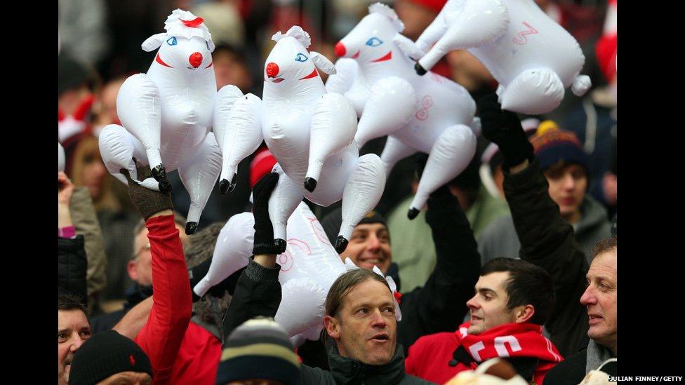 Wrexham fans with inflatable sheep at Wembley