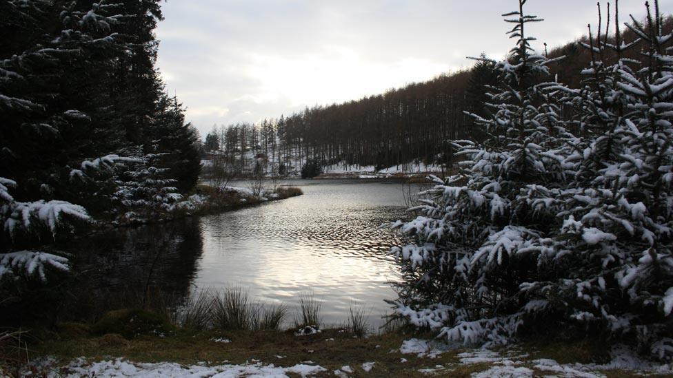 Nant Yr Arian