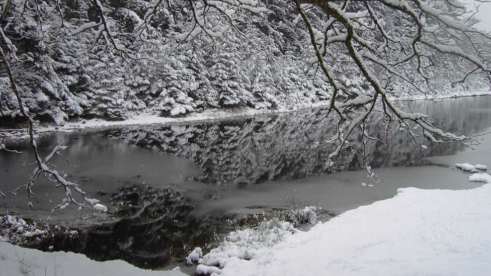 Gwydyr Forest